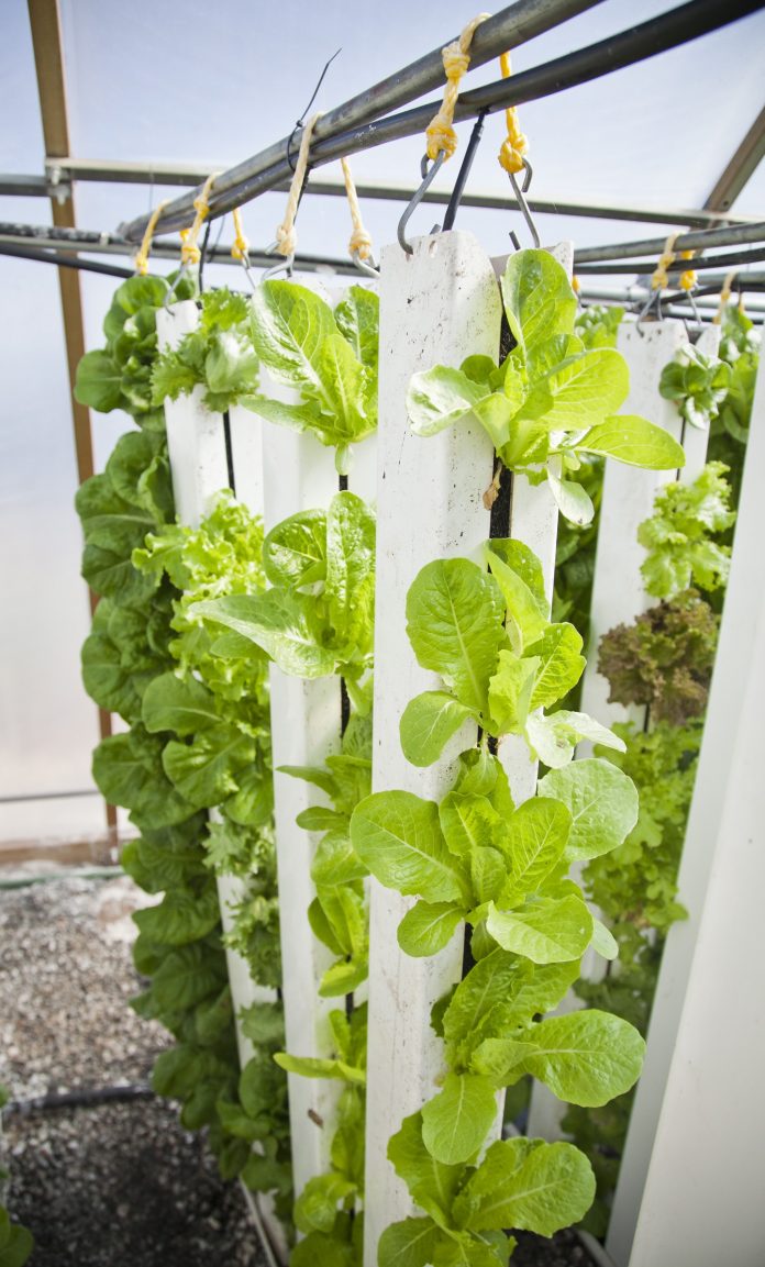 Vertical Farming