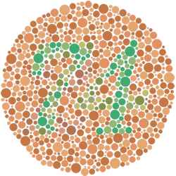 Color blind detection