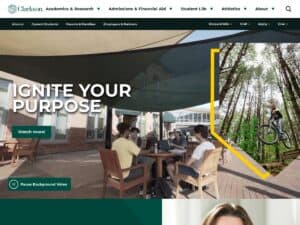 Clarkson University