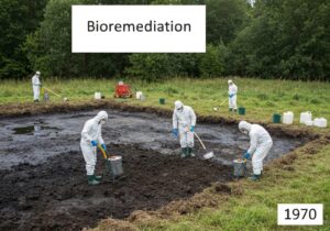 Environmental scientists conducting bioremediation at a contaminated soil site.
