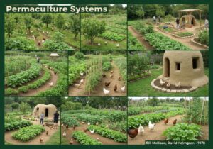 Diverse permaculture garden with food plants, trees, and integrated animal systems.