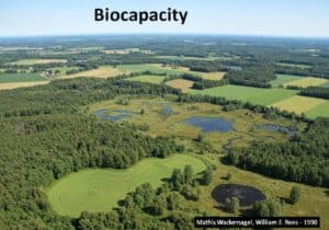 多样化的生态系统说明了人类生态学和可持续土地管理中的生物能力。.