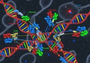 Synthetic biology Synthetic biology