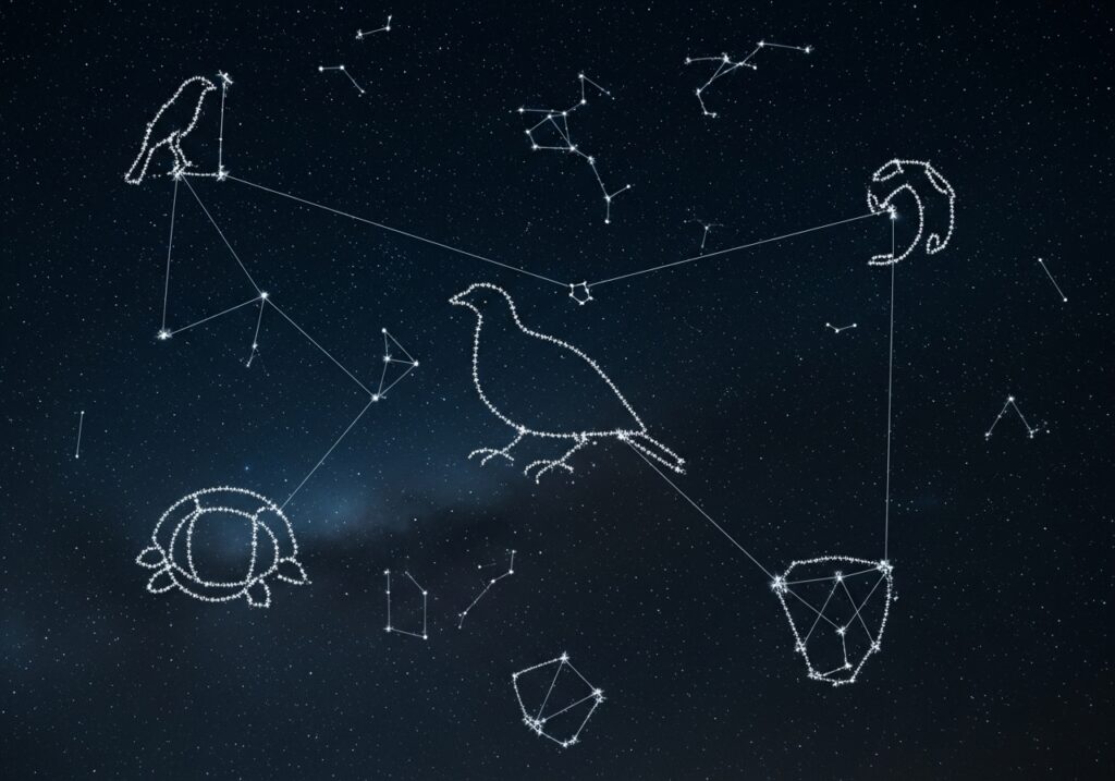 Celestial Legacy of Discovery