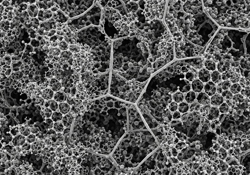 Molecular Impact of Carbon Emissions