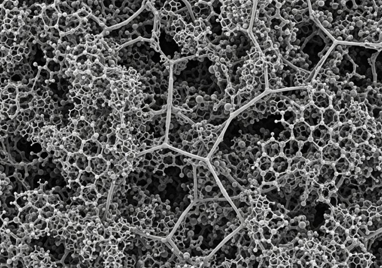 Molecular Impact of Carbon Emissions