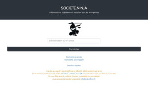 Recherche d'informations sur les entreprises françaises