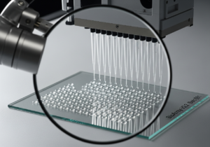 microarrays de ADN