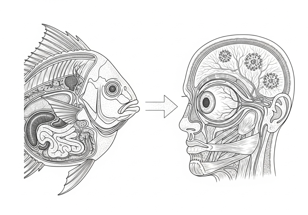 Marine Virus Impact on Vision