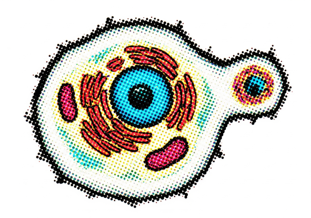 Synthetic Cell Prototype Visualization